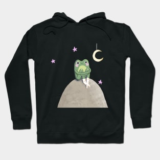 Lonely Frog Hoodie